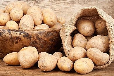 彭博社：索尼正在开发新掌机与Switch竞争 可原生运行PS5游戏